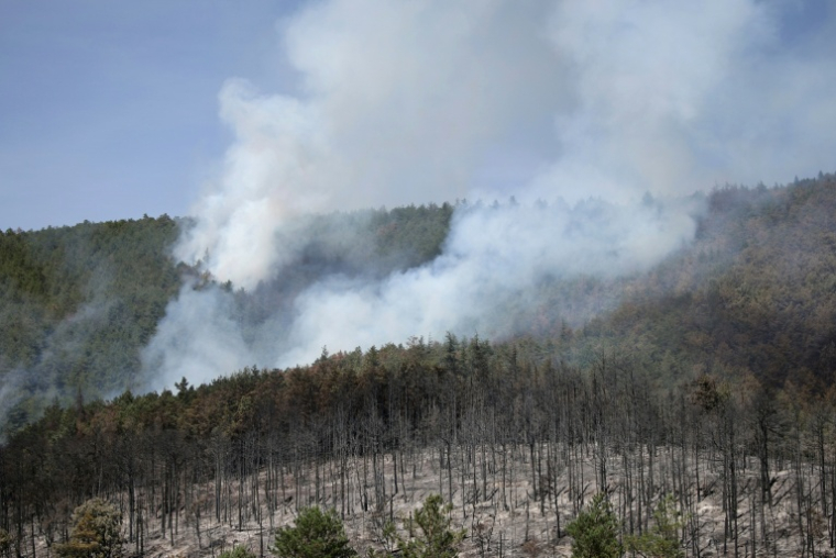 Un feu de forêt près de Puilaurens, le 5 septembre 2026 dans l'Aude ( AFP / Valentine CHAPUIS )