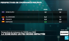 Guerre commerciale : l'OCDE revoit à la baisse ses perspectives de croissance mondiale pour 2025