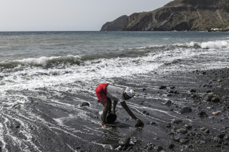Vania Tavares ramasse du sable noir sur une plage dégradée par l'exploitation commerciale, près de Ribeira da Barca, le 20 mai 2026 au Cap-Vert  ( AFP / PATRICK MEINHARDT )