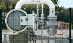 ( AFP / DENIS LOVROVIC )