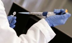 UN VACCIN THÉRAPEUTIQUE EN ONCOLOGIE VÉTÉRINAIRE, BIENTÔT HUMAINE