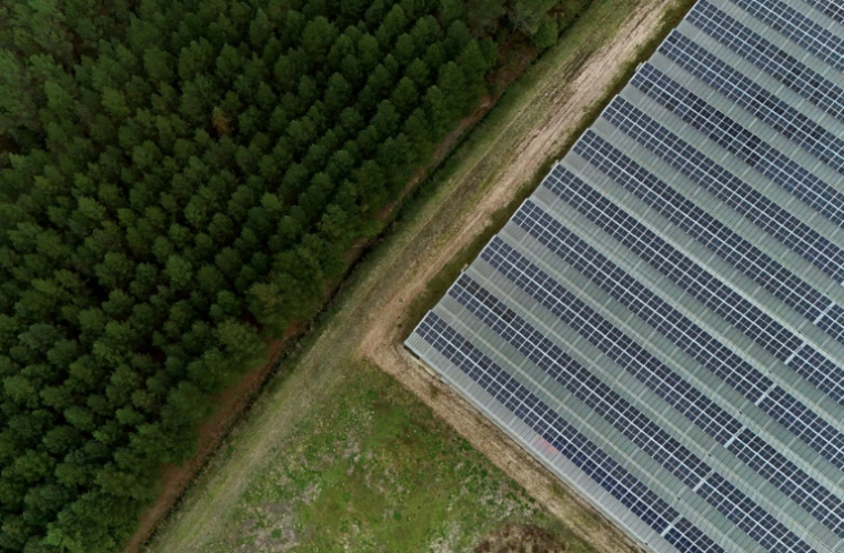 Vue du toit d'une serre composé de panneaux photovoltaïques au Temple, en Gironde, le 3 octobre 2025 ( AFP / Christophe ARCHAMBAULT )