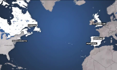 Qu’est-ce que la variole du singe, ce virus observé dans plusieurs pays européens ?