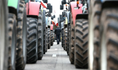 ( AFP / FREDERICK FLORIN )