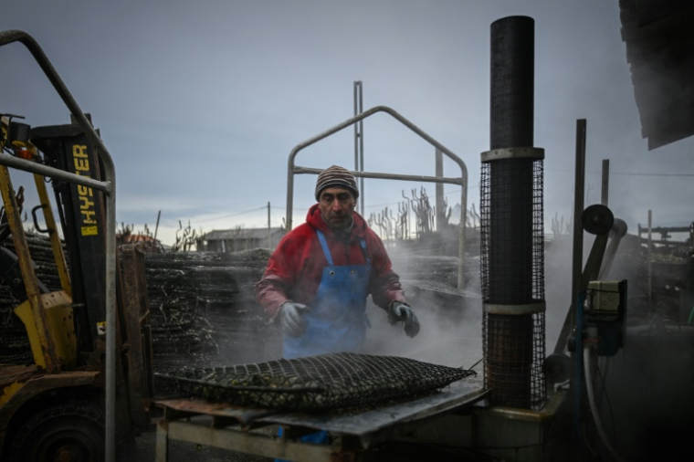 Un ostréiculteur lave des coquillages dans son installation de production à Gujan-Mestras, dans le bassin d'Arcachon, le 5 février 2026 en Gironde ( AFP / Philippe LOPEZ )