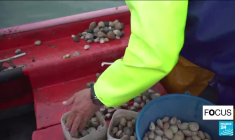Espagne : les pêcheurs de Galice organisent la fronde contre Bruxelles