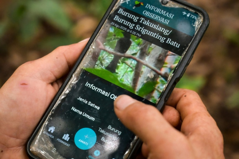 Octavius affiche sur son téléphone portable une photo d’un oiseau qu’il a capturé à l’aide d’un téléobjectif fixé à son téléphone, dans une forêt du village de Labian, à Kapuas Hulu, à Bornéo, le 2 septembre 2026 ( AFP / BAY ISMOYO )