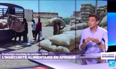 Des récoltes à foison, sauf en France