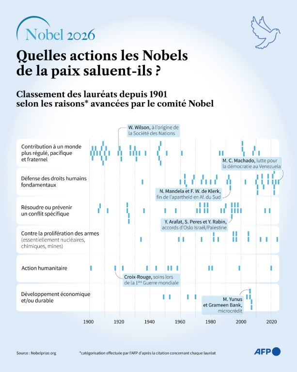 Graphique classant les lauréats des Nobels de la paix depuis 1901 en fonction du motif récompensé, selon des catégories réalisées par l'AFP sur la base du texte officiel accompagnant chaque remise de prix ( AFP / Sophie RAMIS )