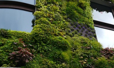 42 millions € de collecte au 1er trimestre 2023 pour la SCPI PFO2 (Perial AM) qui réduit son endettement