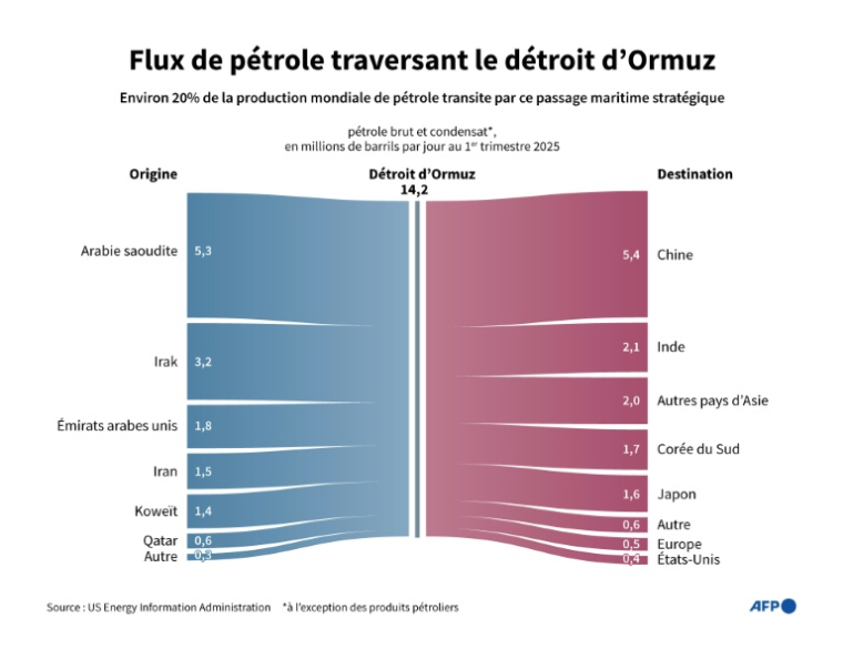 Flux de pétrole traversant le détroit d'Ormuz par pays d'origine et de destination pour le premier trimestre 2025, d'après les données de l'US Energy Information Administration  ( AFP / Jonathan WALTER )