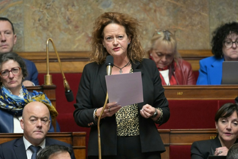 La députée Anne-Cécile Violland à l'Assemblée nationale le 21 janvier 2025 ( AFP / Bertrand GUAY )