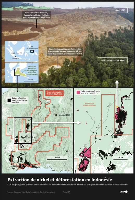 Cartes et image satellitaire montrant la concession minière de Weda Bay Nickel en Indonésie ( AFP / Nicholas SHEARMAN )
