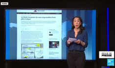 Candidature de Joe Biden à l'investiture démocrate: "C'est dans les vieux Potus.."