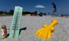 Seize départements sont placés en vigilance orange canicule à partir de vendredi midi ( AFP / Fred TANNEAU )
