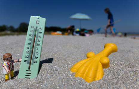 Seize départements sont placés en vigilance orange canicule à partir de vendredi midi ( AFP / Fred TANNEAU )