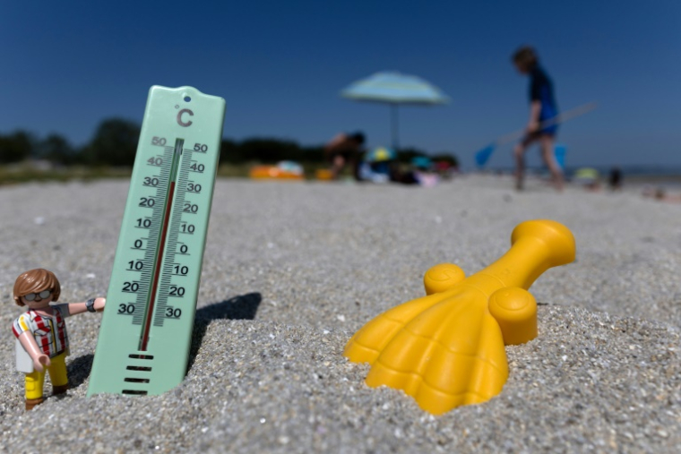 Seize départements sont placés en vigilance orange canicule à partir de vendredi midi ( AFP / Fred TANNEAU )