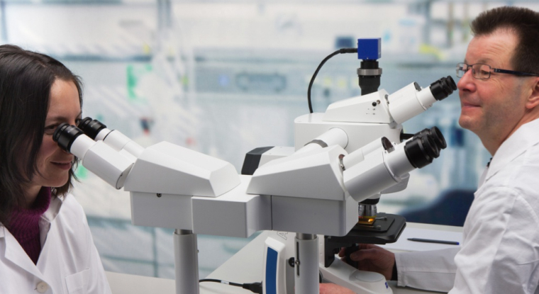 Cellectis et Celyad sont présents dans le domaine prometteur des antigènes chimériques de récepteurs T. (© DR)