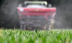 ( AFP / JEAN-FRANCOIS MONIER )