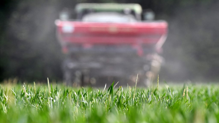 ( AFP / JEAN-FRANCOIS MONIER )