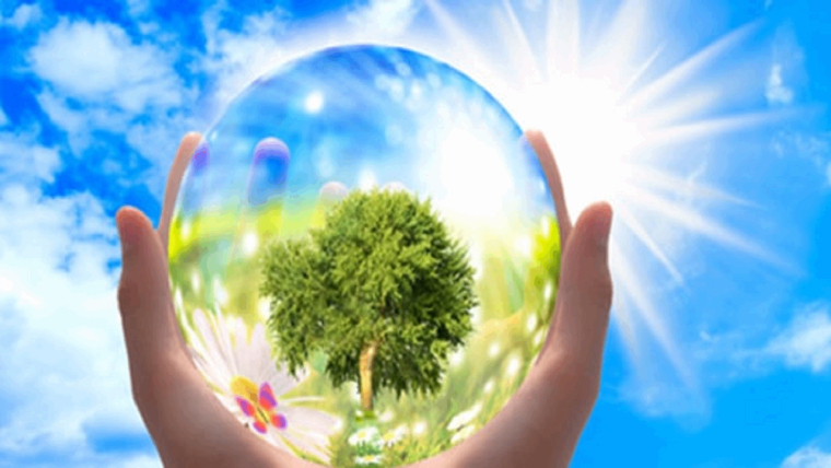 La finance, acteur majeur dans la transition énergétique et écologique