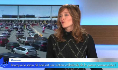 Pourquoi le sapin de noël est une victime collatérale de la guerre commerciale !