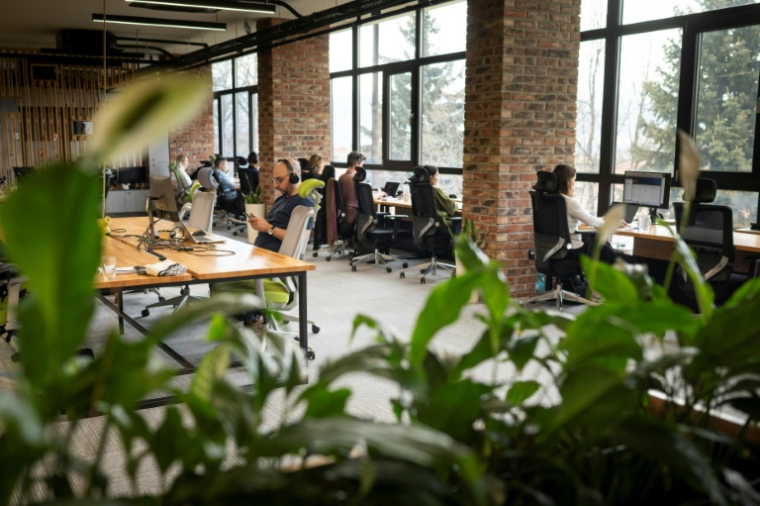Un espace de coworking à Bansko, le 13 février 2026 en Bulgarie ( AFP / Nikolay DOYCHINOV )