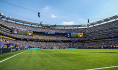 Des billets pour la finale de la Coupe du monde au prix d'un appartement