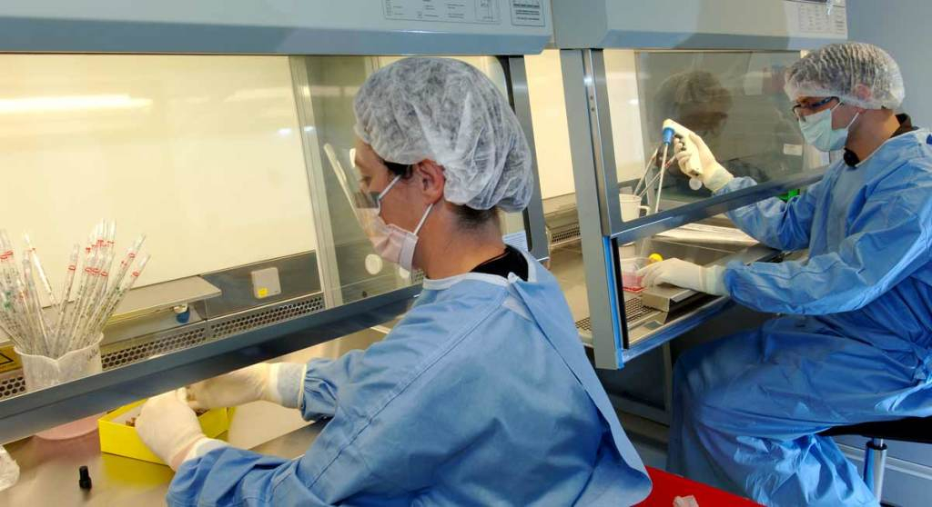 La société de biotechnologie ne pèse que 50 millions d'euros en Bourse. (© Theranexus)