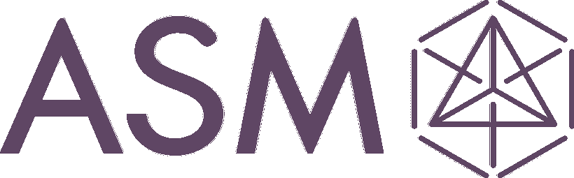 ASM INT
