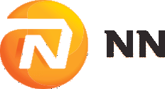 NN GROUP