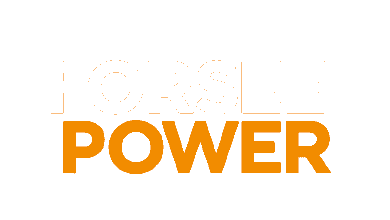 FORSEE POWER