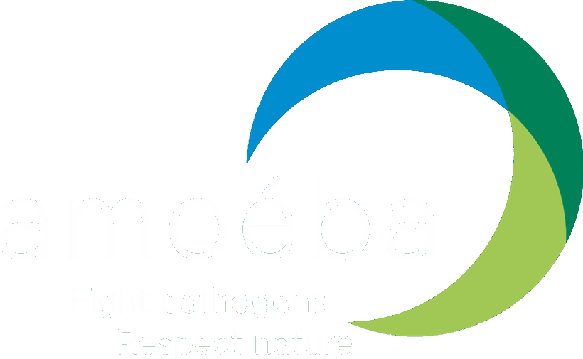AMOEBA