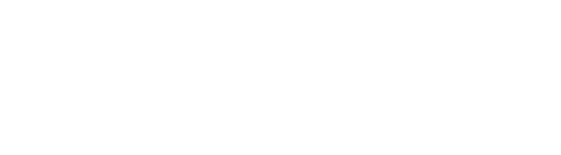 ASML HOLD NY SP ADR