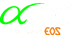 ALPHATEC HOLDING