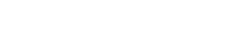 BANCO BRAD SP ADR