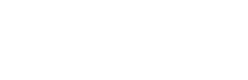 BADGER METER