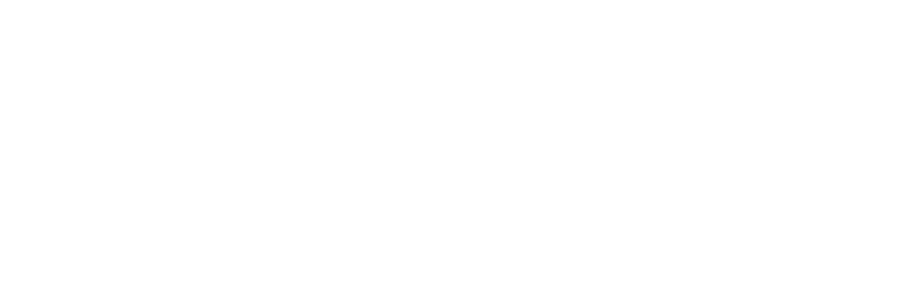 CELSIUS HLDGS