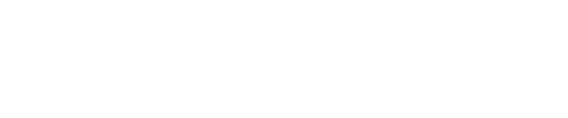 FORTUNE BRANDS