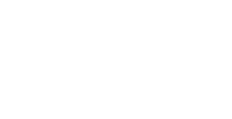 HILTN WRLD HLDGS
