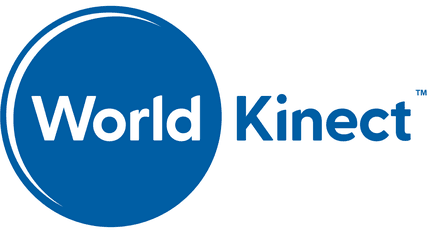 WORLD FUEL SERVI
