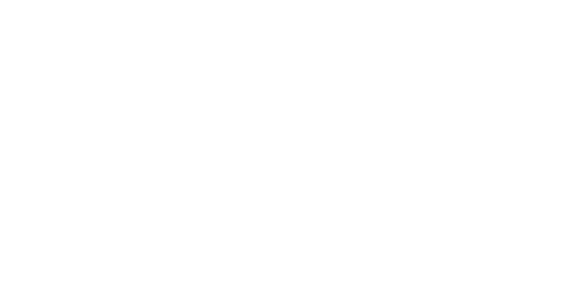 THE JOINT