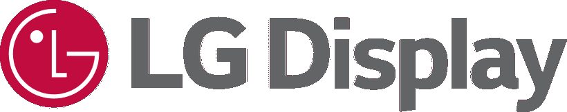 LG DISPLAY SP ADR