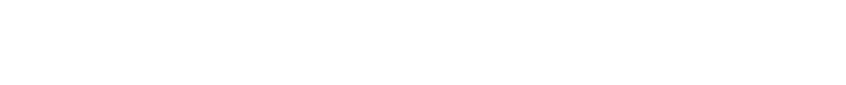 NAVIGATOR HLDGS