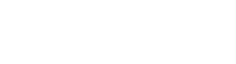 OPTICAL CABLE