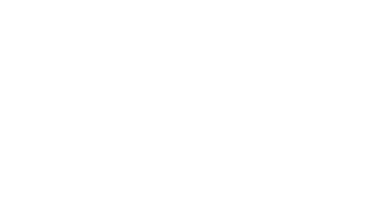 PAMPA SP ADR