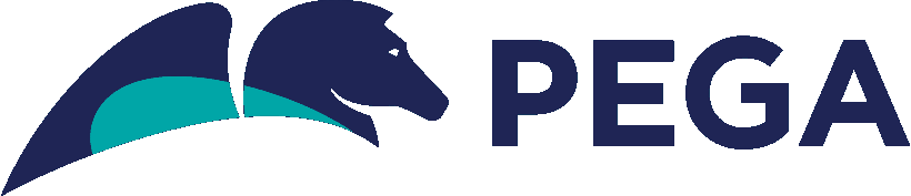 PEGASYSTEMS