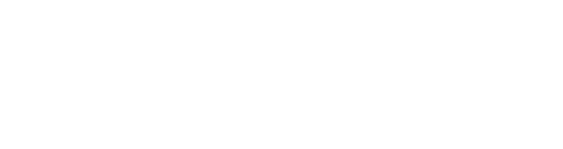 SIEBERT FINANCIA